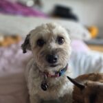 Profile photo of test